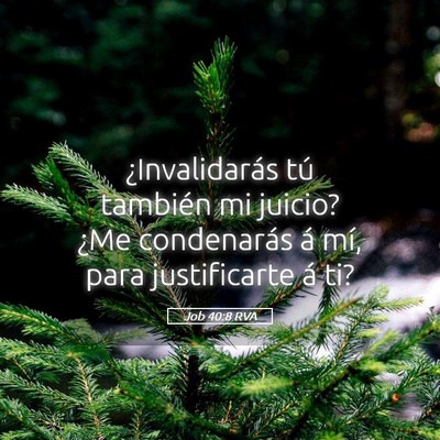 Picture 05 - Job 40:8 RVA - ¿Invalidarás tú también mi juicio? ¿Me - Bible Verse Picture