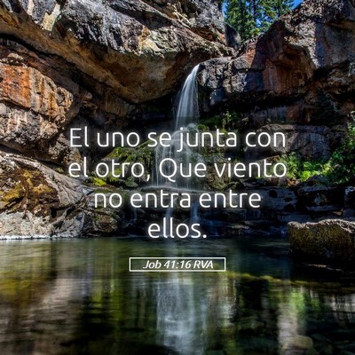 Picture 05 - Job 41:16 RVA - El uno se junta con el otro, Que viento no entra - Bible Verse Picture