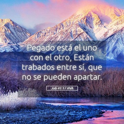 Picture 05 - Job 41:17 RVA - Pegado está el uno con el otro, Están trabados - Bible Verse Picture