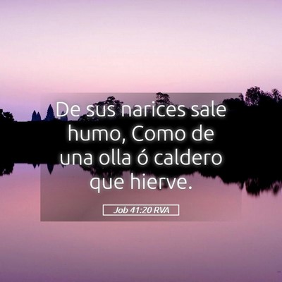 Picture 05 - Job 41:20 RVA - De sus narices sale humo, Como de una olla ó - Bible Verse Picture