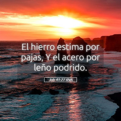 Picture 05 - Job 41:27 RVA - El hierro estima por pajas, Y el acero por leño - Bible Verse Picture