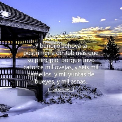 Picture 05 - Job 42:12 RVA - Y bendijo Jehová la postrimería de Job más que - Bible Verse Picture