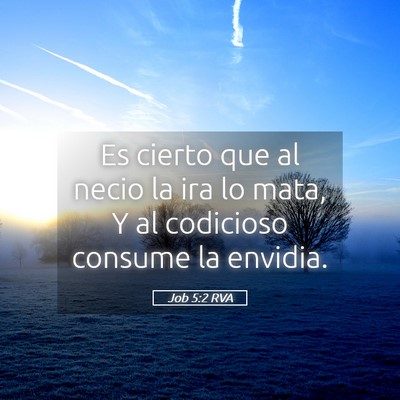 Picture 05 - Job 5:2 RVA - Es cierto que al necio la ira lo mata, Y al - Bible Verse Picture