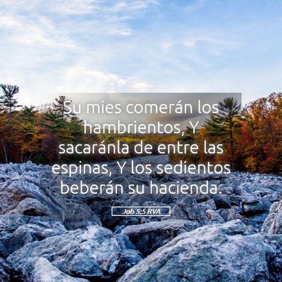 Picture 05 - Job 5:5 RVA - Su mies comerán los hambrientos, Y sacaránla de - Bible Verse Picture