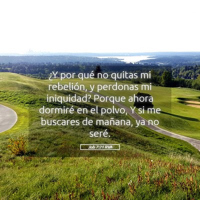 Picture 05 - Job 7:21 RVA - ¿Y por qué no quitas mi rebelión, y perdonas - Bible Verse Picture