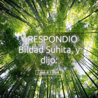 Picture 05 - Job 8:1 RVA - Y RESPONDIO Bildad Suhita, y - Bible Verse Picture