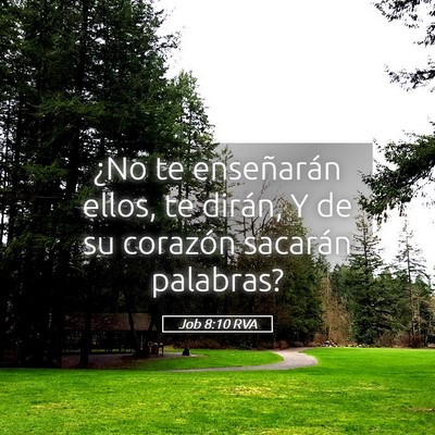 Picture 05 - Job 8:10 RVA - ¿No te enseñarán ellos, te dirán, Y de su - Bible Verse Picture