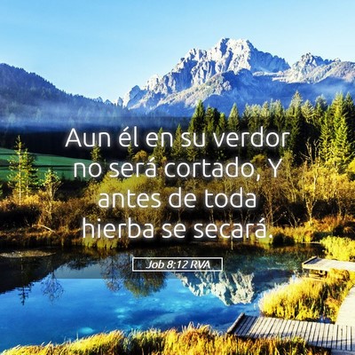 Picture 05 - Job 8:12 RVA - Aun él en su verdor no será cortado, Y antes de - Bible Verse Picture