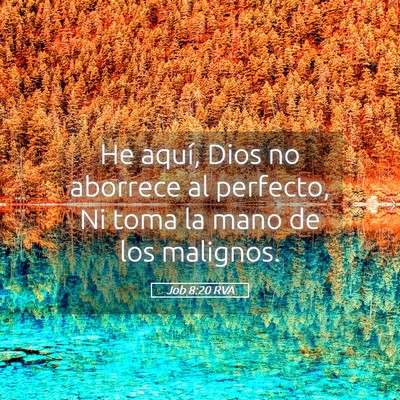 Picture 05 - Job 8:20 RVA - He aquí, Dios no aborrece al perfecto, Ni toma - Bible Verse Picture