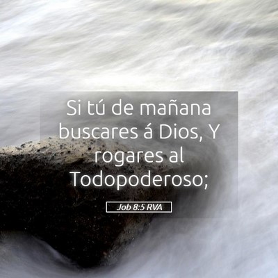 Picture 05 - Job 8:5 RVA - Si tú de mañana buscares á Dios, Y rogares al - Bible Verse Picture