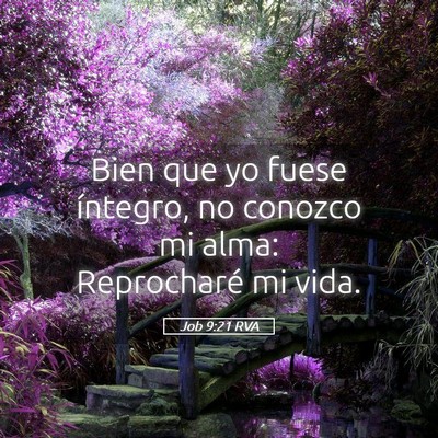 Picture 05 - Job 9:21 RVA - Bien que yo fuese íntegro, no conozco mi alma: - Bible Verse Picture