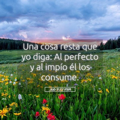 Picture 05 - Job 9:22 RVA - Una cosa resta que yo diga: Al perfecto y al - Bible Verse Picture