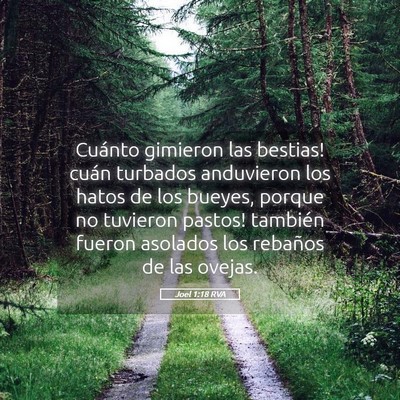 Picture 05 - Joel 1:18 RVA - Cuánto gimieron las bestias! ­cuán turbados - Bible Verse Picture