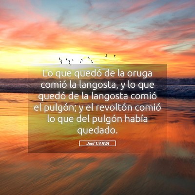 Picture 05 - Joel 1:4 RVA - Lo que quedó de la oruga comió la langosta, y - Bible Verse Picture