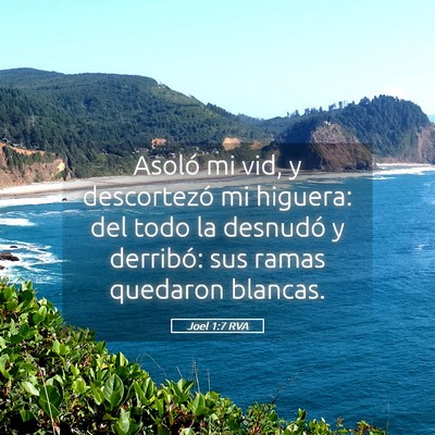 Picture 05 - Joel 1:7 RVA - Asoló mi vid, y descortezó mi higuera: del todo - Bible Verse Picture