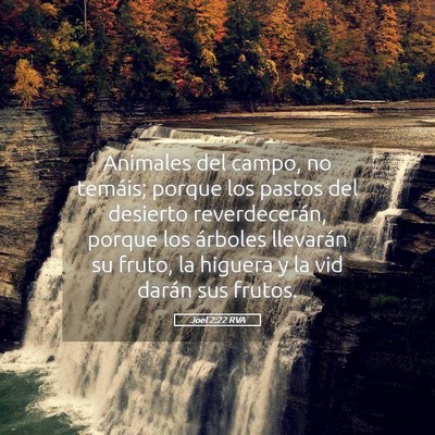 Picture 05 - Joel 2:22 RVA - Animales del campo, no temáis; porque los pastos - Bible Verse Picture