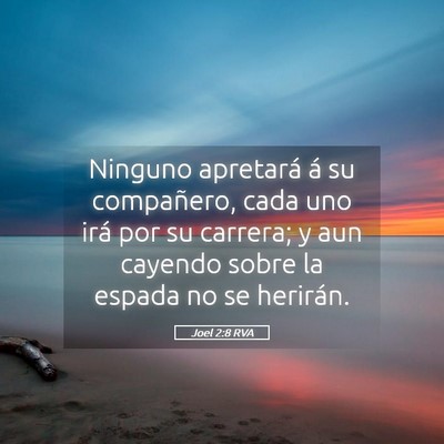 Picture 05 - Joel 2:8 RVA - Ninguno apretará á su compañero, cada uno irá - Bible Verse Picture