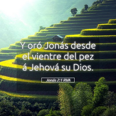 Picture 05 - Jonás 2:1 RVA - Y oró Jonás desde el vientre del pez á Jehová - Bible Verse Picture