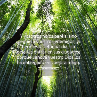 Picture 05 - Josué 10:19 RVA - Y vosotros no os paréis, sino seguid á vuestros - Bible Verse Picture
