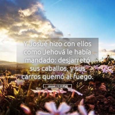 Picture 05 - Josué 11:9 RVA - Y Josué hizo con ellos como Jehová le había - Bible Verse Picture