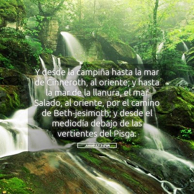 Picture 05 - Josué 12:3 RVA - Y desde la campiña hasta la mar de Cinneroth, al - Bible Verse Picture