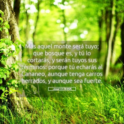 Picture 05 - Josué 17:18 RVA - Mas aquel monte será tuyo; que bosque es, y tú - Bible Verse Picture