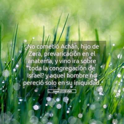 Picture 05 - Josué 22:20 RVA - ¿No cometió Achân, hijo de Zera, - Bible Verse Picture