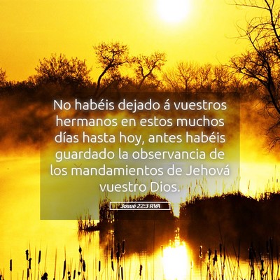 Picture 05 - Josué 22:3 RVA - No habéis dejado á vuestros hermanos en estos - Bible Verse Picture