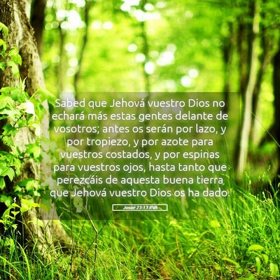 Picture 05 - Josué 23:13 RVA - Sabed que Jehová vuestro Dios no echará más - Bible Verse Picture