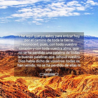 Picture 05 - Josué 23:14 RVA - Y he aquí que yo estoy para entrar hoy por el - Bible Verse Picture