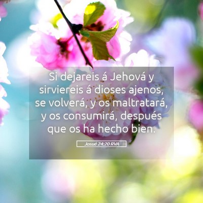 Picture 05 - Josué 24:20 RVA - Si dejareis á Jehová y sirviereis á dioses - Bible Verse Picture