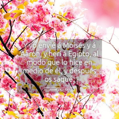 Picture 05 - Josué 24:5 RVA - Y yo envié á Moisés y á Aarón, y herí á - Bible Verse Picture