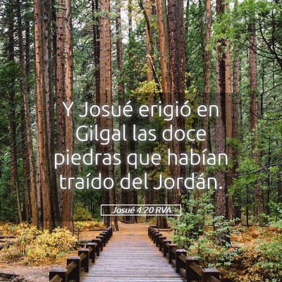 Picture 05 - Josué 4:20 RVA - Y Josué erigió en Gilgal las doce piedras que - Bible Verse Picture