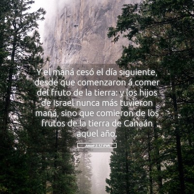 Picture 05 - Josué 5:12 RVA - Y el maná cesó el día siguiente, desde que - Bible Verse Picture