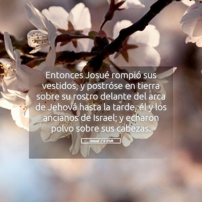 Picture 05 - Josué 7:6 RVA - Entonces Josué rompió sus vestidos, y postróse - Bible Verse Picture