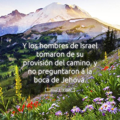 Picture 05 - Josué 9:14 RVA - Y los hombres de Israel tomaron de su provisión - Bible Verse Picture