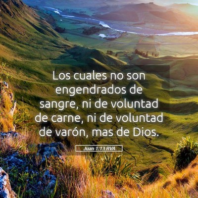 Picture 05 - Juan 1:13 RVA - Los cuales no son engendrados de sangre, ni de - Bible Verse Picture