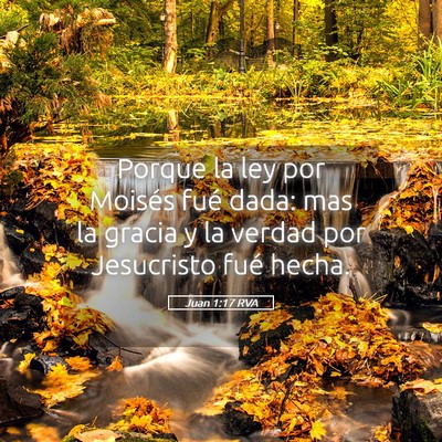 Picture 05 - Juan 1:17 RVA - Porque la ley por Moisés fué dada: mas la - Bible Verse Picture