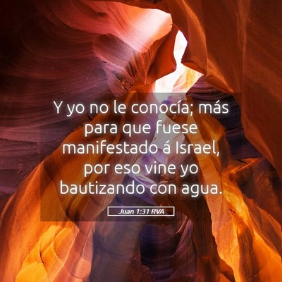 Picture 05 - Juan 1:31 RVA - Y yo no le conocía; más para que fuese - Bible Verse Picture