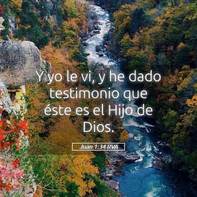 Picture 05 - Juan 1:34 RVA - Y yo le vi, y he dado testimonio que éste es el - Bible Verse Picture