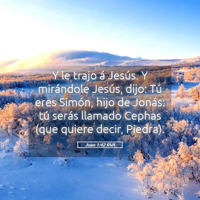 Picture 05 - Juan 1:42 RVA - Y le trajo á Jesús. Y mirándole Jesús, dijo: - Bible Verse Picture