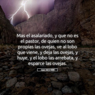 Picture 05 - Juan 10:12 RVA - Mas el asalariado, y que no es el pastor, de - Bible Verse Picture