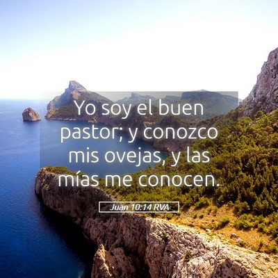 Picture 05 - Juan 10:14 RVA - Yo soy el buen pastor; y conozco mis ovejas, y - Bible Verse Picture