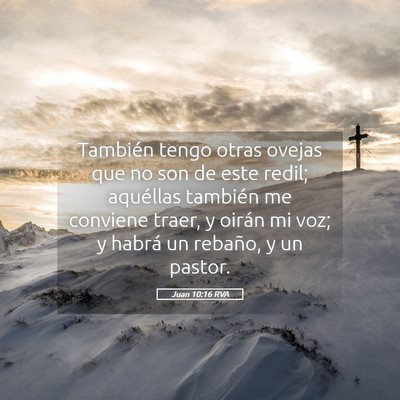 Picture 05 - Juan 10:16 RVA - También tengo otras ovejas que no son de este - Bible Verse Picture