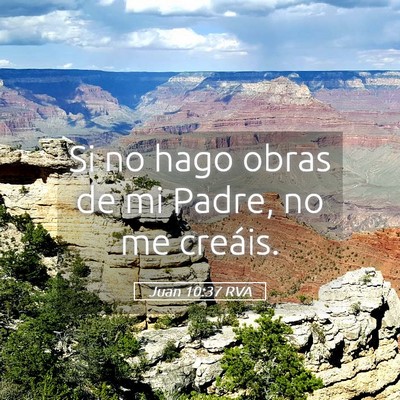 Picture 05 - Juan 10:37 RVA - Si no hago obras de mi Padre, no me - Bible Verse Picture