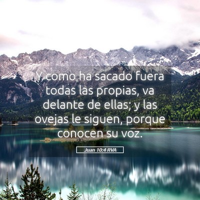 Picture 05 - Juan 10:4 RVA - Y como ha sacado fuera todas las propias, va - Bible Verse Picture