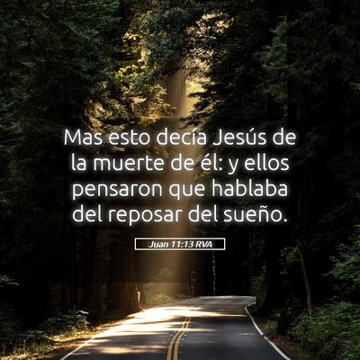 Picture 05 - Juan 11:13 RVA - Mas esto decía Jesús de la muerte de él: y - Bible Verse Picture