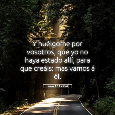 Picture 05 - Juan 11:15 RVA - Y huélgome por vosotros, que yo no haya estado - Bible Verse Picture
