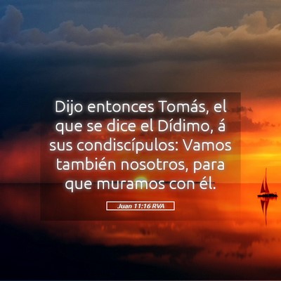 Picture 05 - Juan 11:16 RVA - Dijo entonces Tomás, el que se dice el Dídimo, - Bible Verse Picture