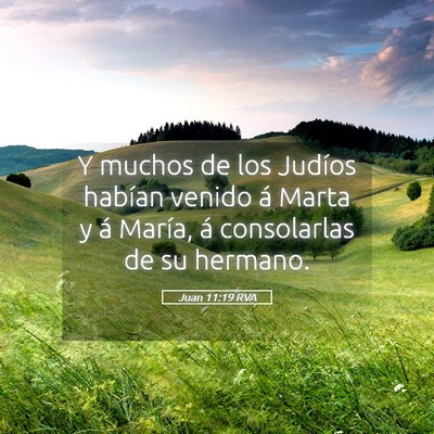 Picture 05 - Juan 11:19 RVA - Y muchos de los Judíos habían venido á Marta y - Bible Verse Picture